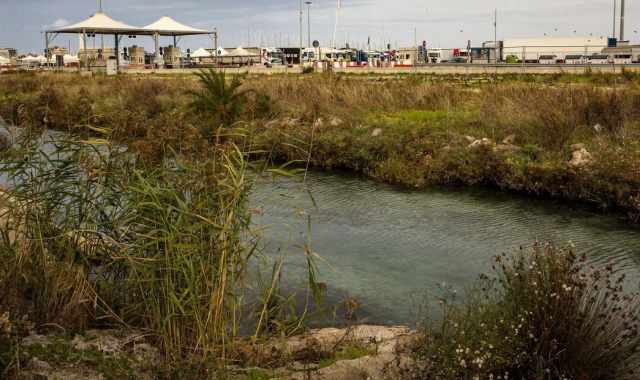 Bari, limpidi torrenti e uccelli acquatici: alla scoperta della condannata Ansa di Marisabella